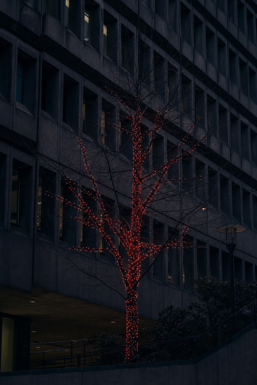 Dusk street with red-lit tree and office facade